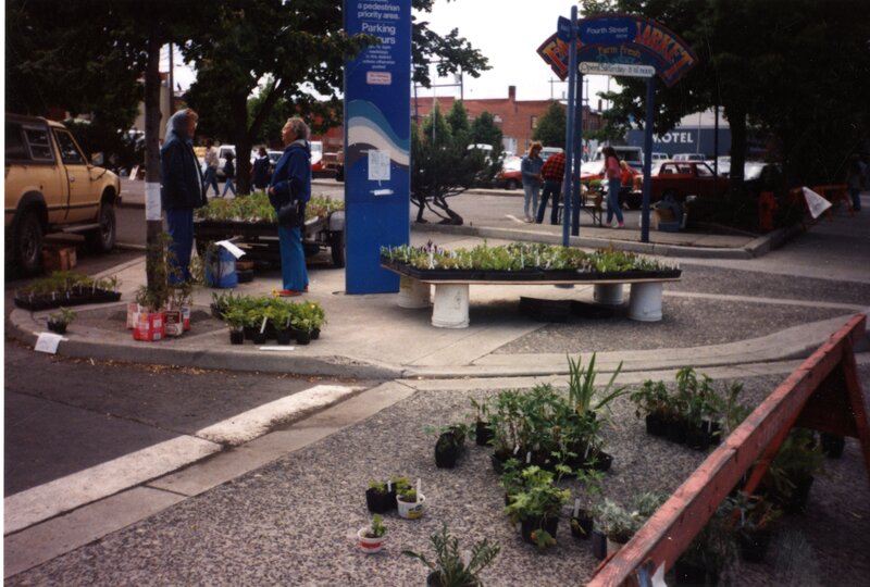 item thumbnail for Flower Seedlings for Sale at Farmer's Market