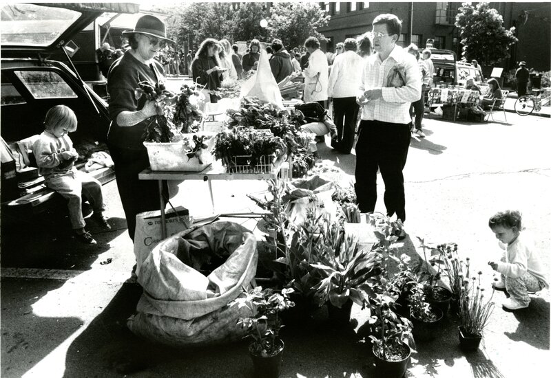 item thumbnail for Plant Selling at Farmer's Market