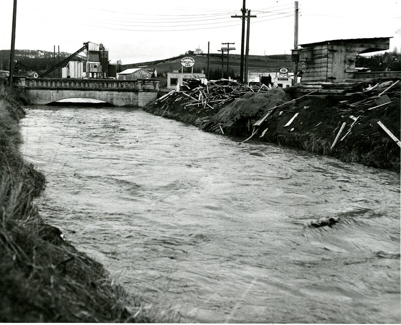 item thumbnail for Paradise Creek near flood stage