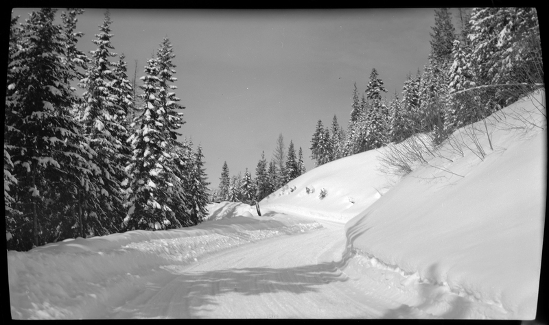 Snowy outdoor scene [03] | George W. Tabor Photographs